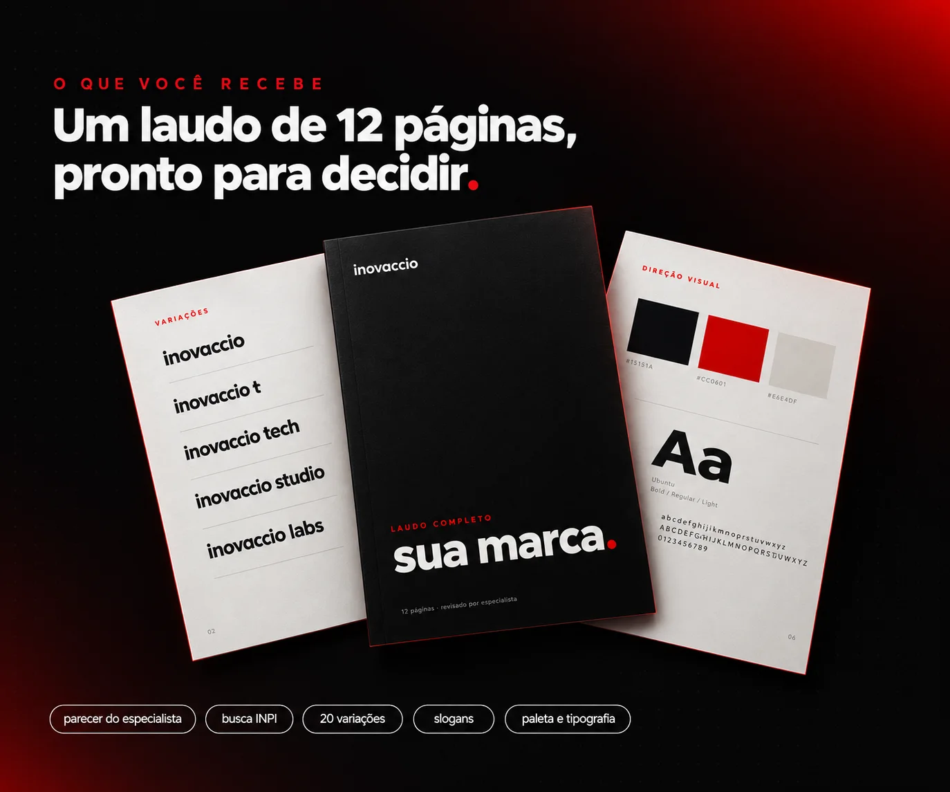 Laudo completo de 12 páginas: variações, capa e direção visual